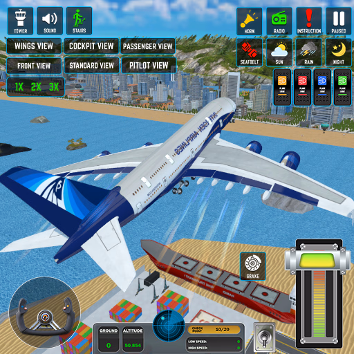 Passenger Airplane Flight 3D